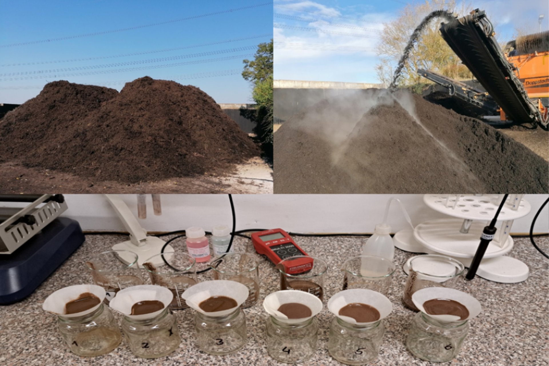 Name hier eintragenEinsatz abgetragener Pilzsubstrate aus Speisepilz-Produktion für die Herstellung von alternativen Erden (MykoErden)