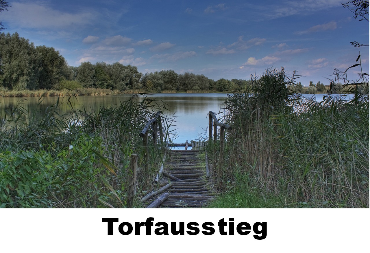 Torfausstieg im Pilzanbau