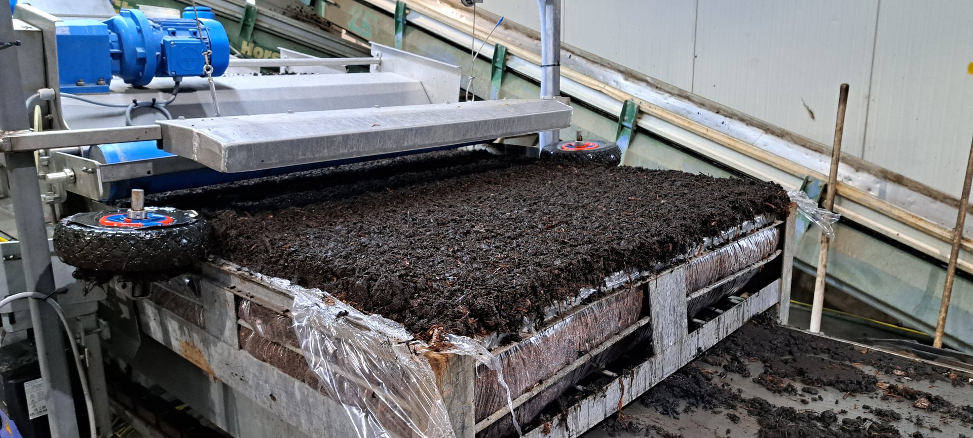 MykoDeck Abdeckerde im Pilzbetrieb MykoDeck Abdeckerde im Pilzbetrieb